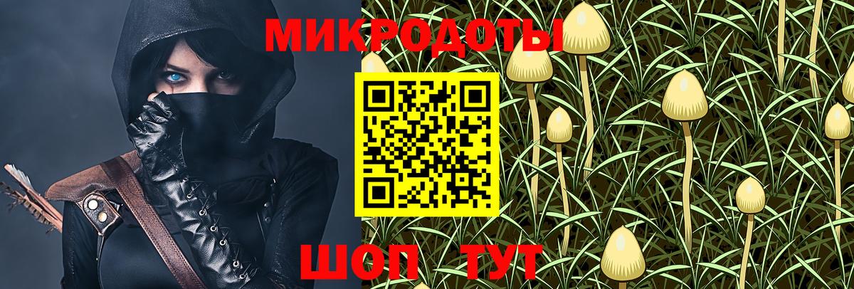 Галлюциногенные грибы Magic Shrooms Саранск