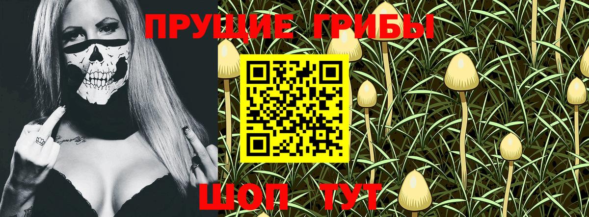 Псилоцибиновые грибы MAGIC MUSHROOMS  Вход с VPN  Саранск  Псилоцибиновые грибы Psilocybine cubensis 