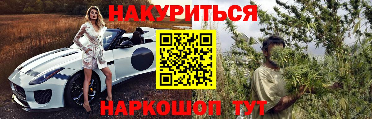 Канабис OG Kush Саранск